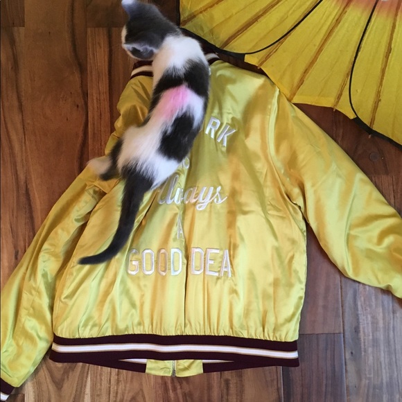 Jacket - Picture 2 of 4